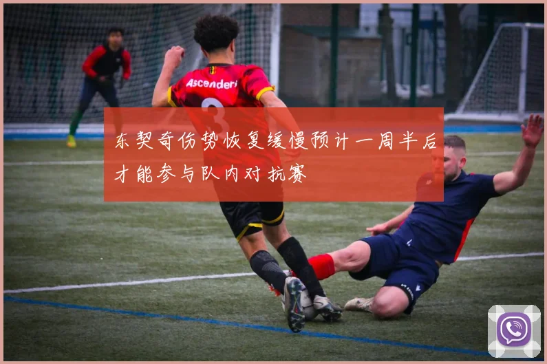 东契奇伤势恢复缓慢预计一周半后才能参与队内对抗赛
