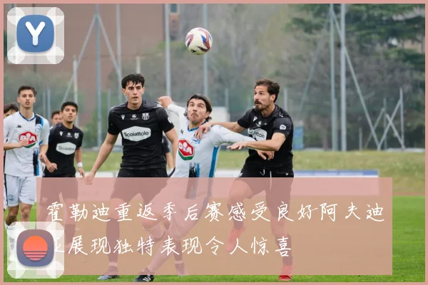 霍勒迪重返季后赛感受良好阿夫迪亚展现独特表现令人惊喜