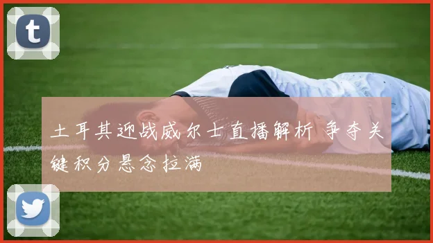 土耳其迎战威尔士直播解析 争夺关键积分悬念拉满