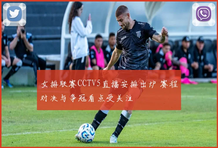 女排联赛CCTV5直播安排出炉 赛程对决与争冠看点受关注